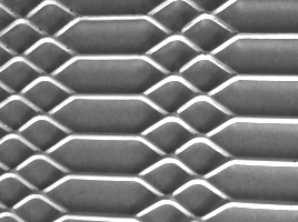 expanded mesh
